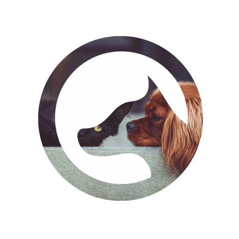 AOPP Course Small Animal