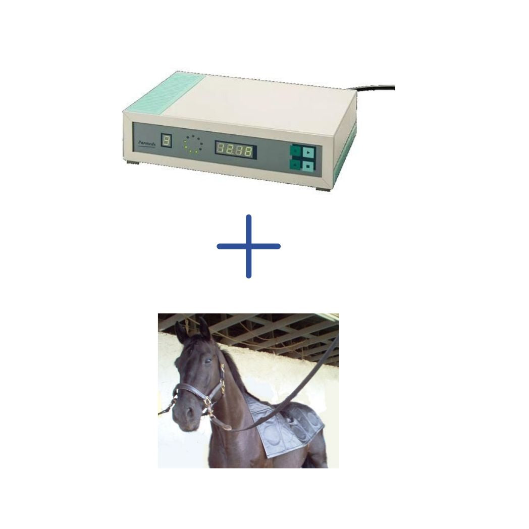 Curavet - Equine and Animal Therapy