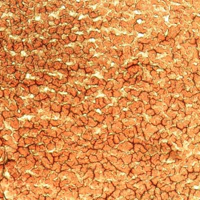 Dry blood sample showing oxygen levels before a session of PEMF therapy on CELLER8