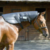 OMI PEMF horses neck wrap on horse