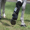 OMI PEMF Horse front leg wrap on horses leg