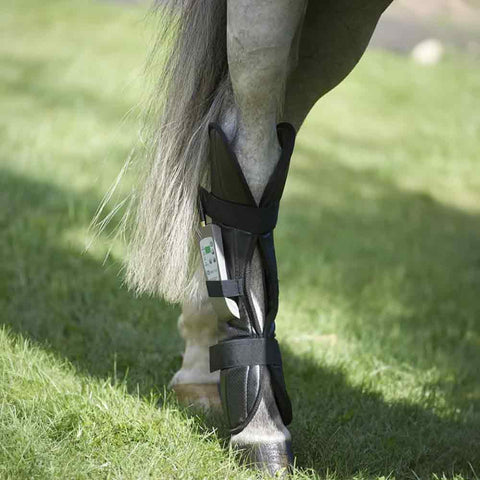 OMI PEMF Horse Leg Wrap (Rear) on horse