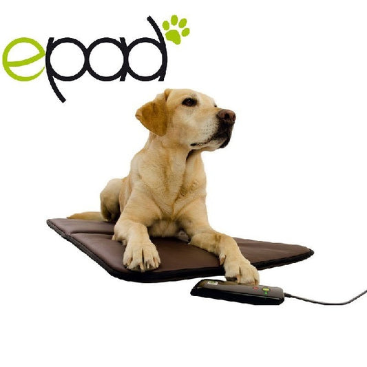 EPAD Friends