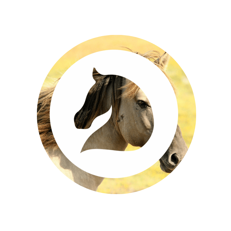 AOPP Horse Large Animal