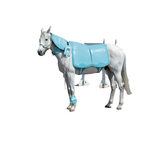 Biomag Lumina Vet Comfort (Equine)