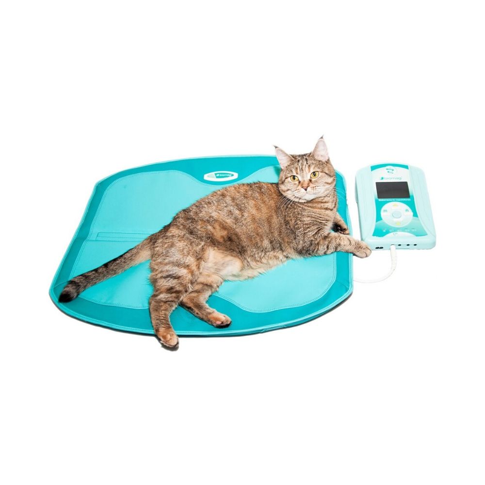 Shop PEMF Device For Pets & Animals NewMed Ltd